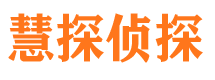 市中市侦探调查公司